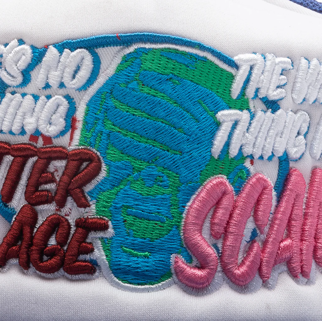 Scam Hat - Multi - Image 2