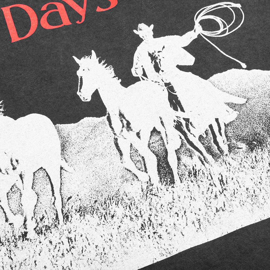 Across the Plains T-Shirt - Sun Faded Black - Image 4
