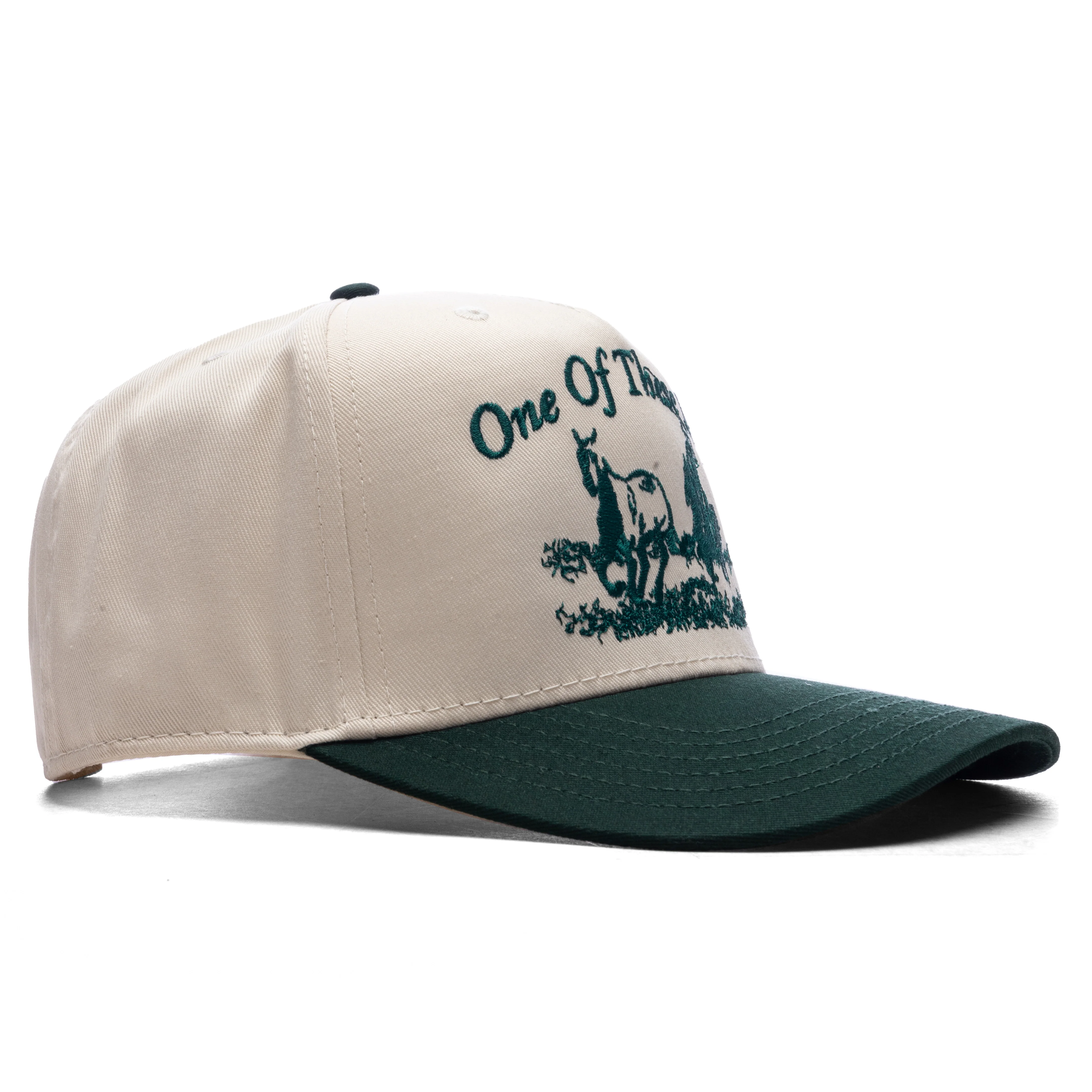 Just For A Moment 5-Panel Hat - Natural/Green - Image 3