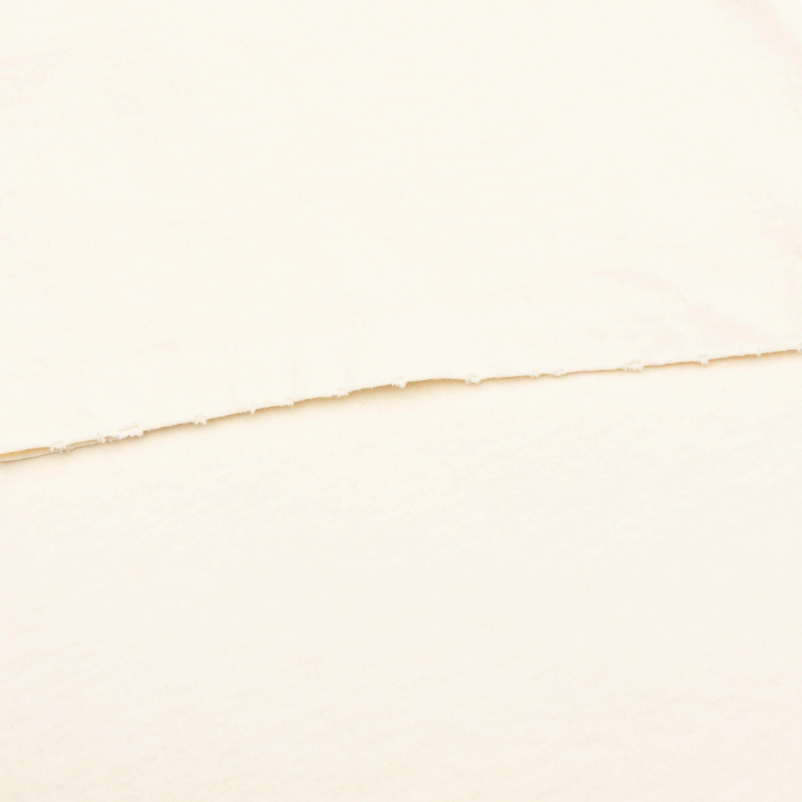 Student/Coach Tee - Archival White - Image 5