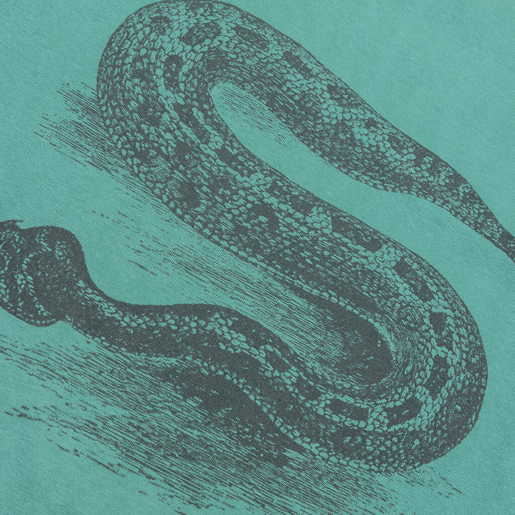Serpent Pigment Dyed Tee - Pine - Image 4